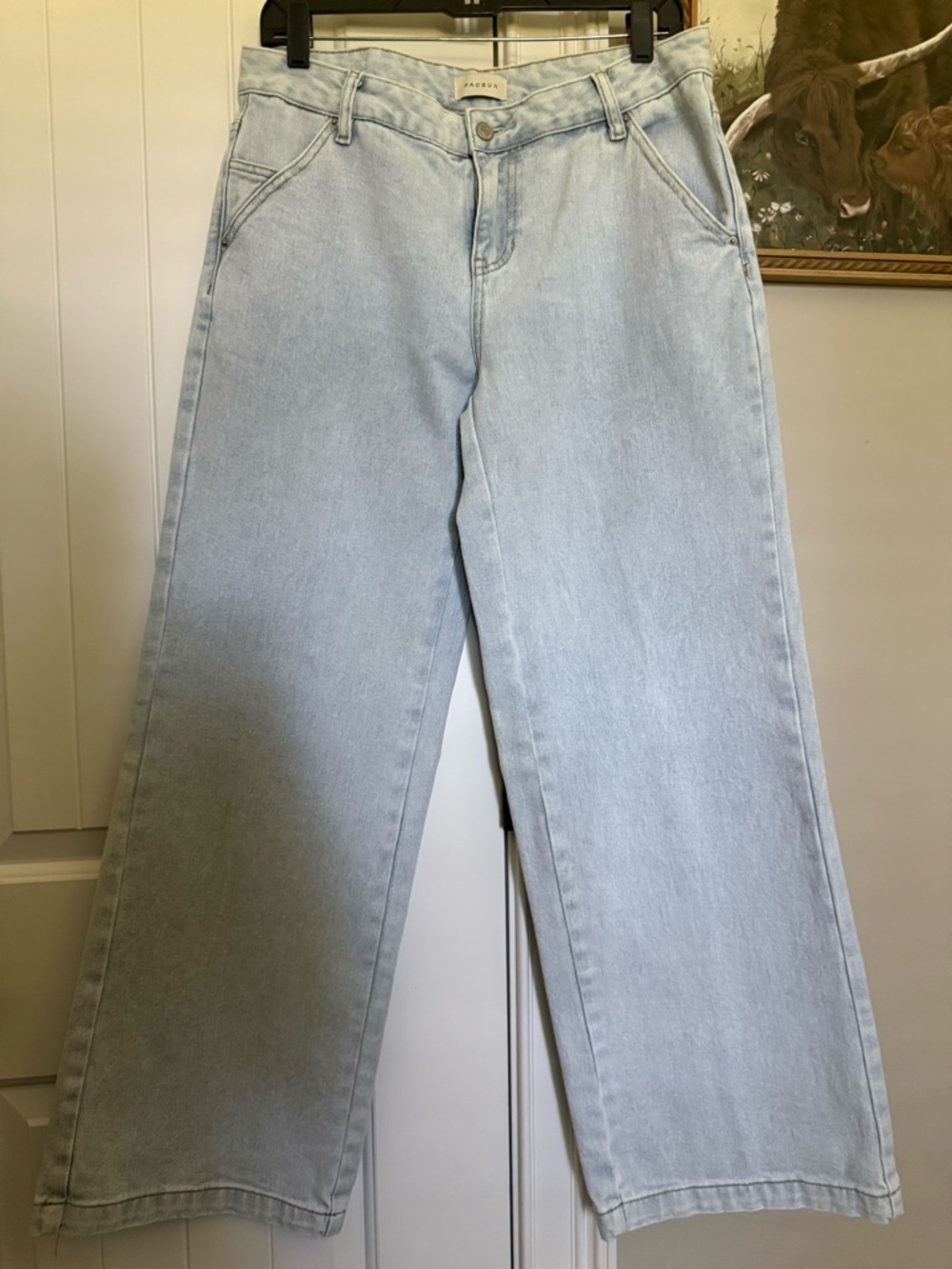 PACSUN Casey Low Rise Wide Leg Jeans NEW